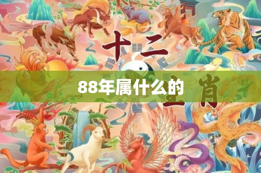 88年属什么的