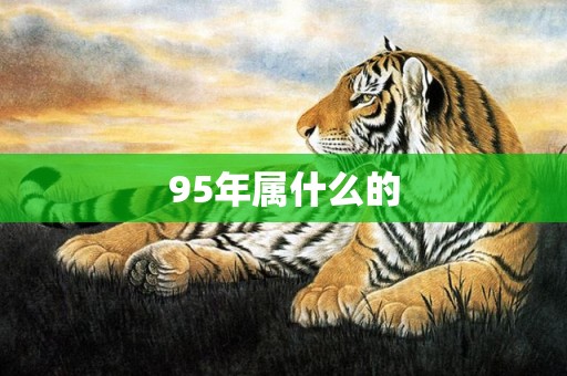 95年属什么的