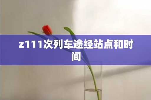 z111次列车途经站点和时间