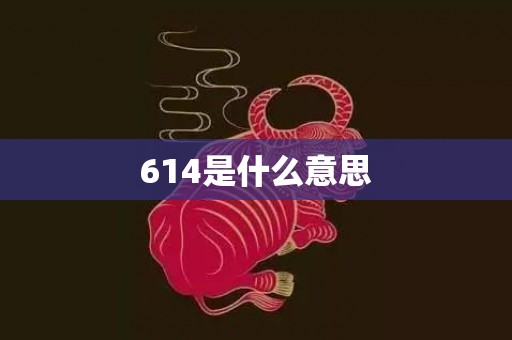 614是什么意思