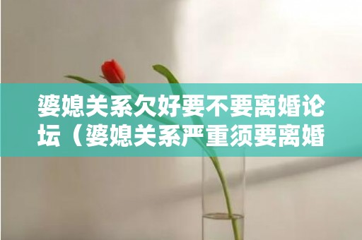 婆媳关系欠好要不要离婚论坛（婆媳关系严重须要离婚吗）