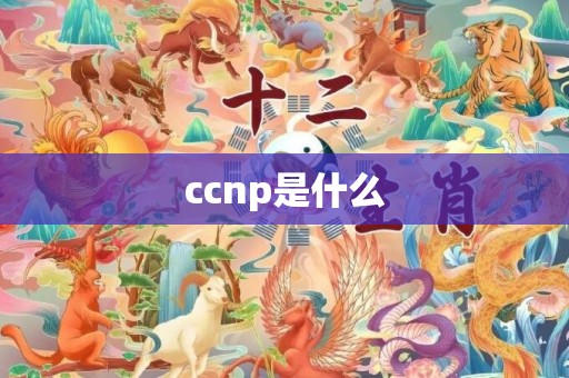 ccnp是什么