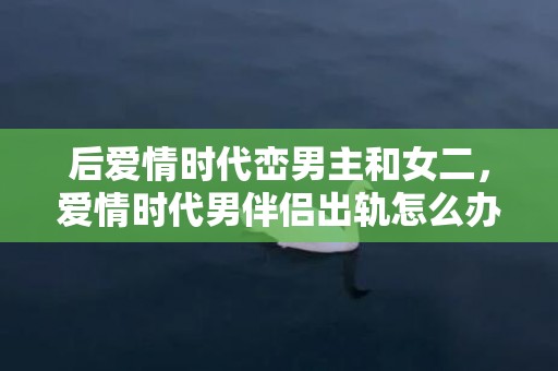 后爱情时代峦男主和女二，爱情时代男伴侣出轨怎么办（男伴侣却出轨了怎么办）