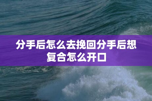 分手后怎么去挽回分手后想复合怎么开口