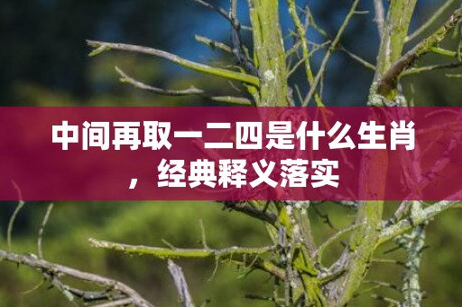 中间再取一二四是什么生肖，经典释义落实