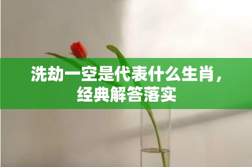 洗劫一空是代表什么生肖，经典解答落实