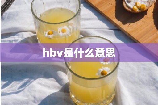 hbv是什么意思