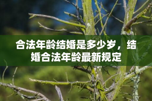 合法年龄结婚是多少岁，结婚合法年龄最新规定