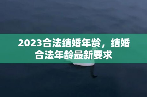 2023合法结婚年龄，结婚合法年龄最新要求