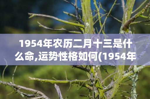 1954年农历二月十三是什么命,运势性格如何(1954年农历二月初二的阳历)