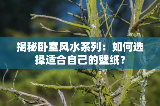 揭秘卧室风水系列：如何选择适合自己的壁纸？