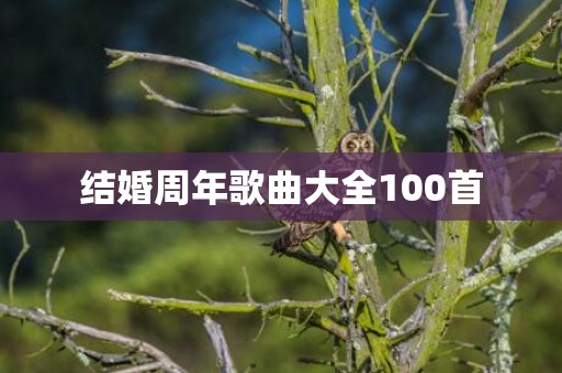 结婚周年歌曲大全100首