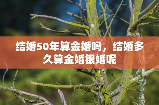 结婚50年算金婚吗，结婚多久算金婚银婚呢