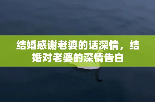 结婚感谢老婆的话深情，结婚对老婆的深情告白