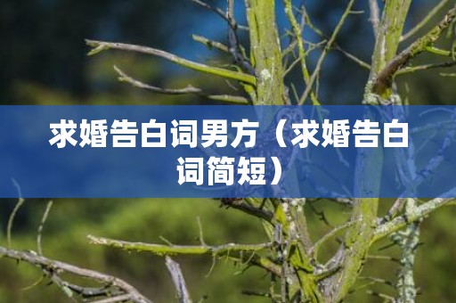 求婚告白词男方（求婚告白词简短）