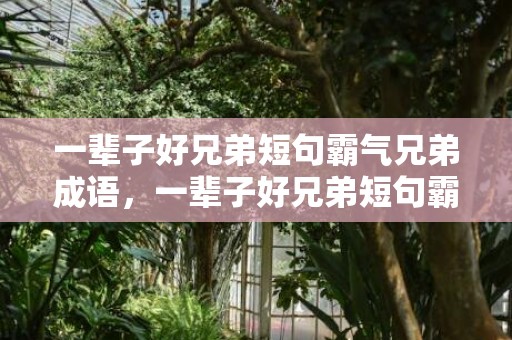 一辈子好兄弟短句霸气兄弟成语，一辈子好兄弟短句霸气兄弟成语怎么说 一辈子兄弟的经典句子