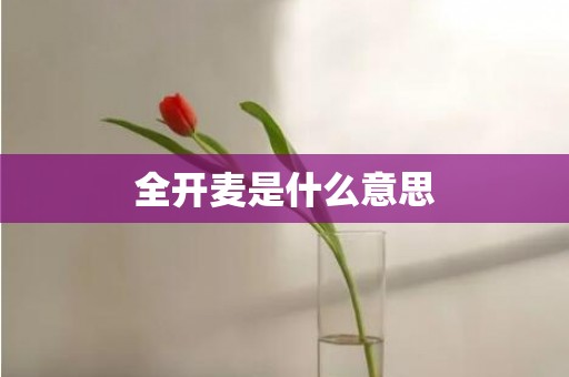 全开麦是什么意思