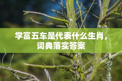 学富五车是代表什么生肖，词典落实答案