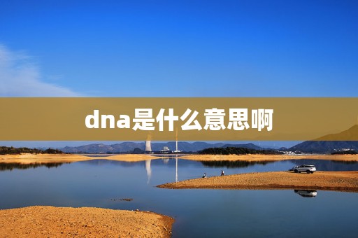 dna是什么意思啊