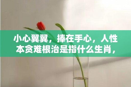 小心翼翼，捧在手心，人性本贪难根治是指什么生肖，成语解释落实