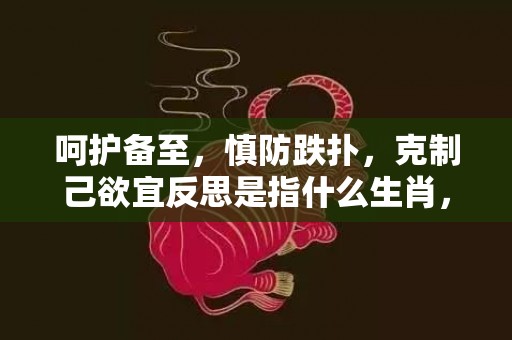 呵护备至，慎防跌扑，克制己欲宜反思是指什么生肖，成语解释落实