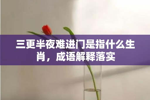 三更半夜难进门是指什么生肖，成语解释落实