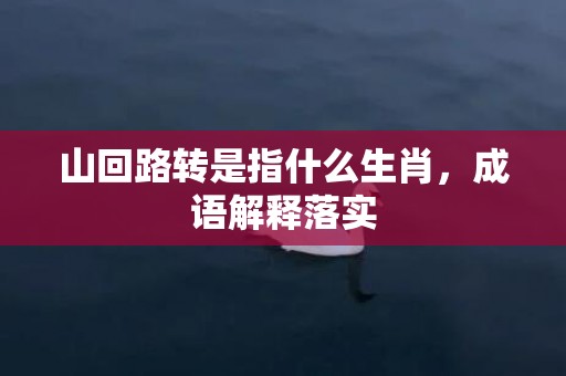 山回路转是指什么生肖，成语解释落实