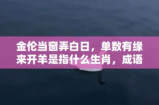 金伦当窗弄白日，单数有缘来开羊是指什么生肖，成语解释落实