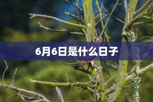 6月6日是什么日子