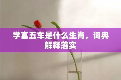 学富五车是什么生肖，词典解释落实