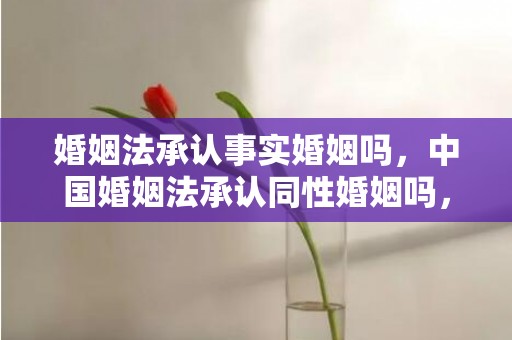 婚姻法承认事实婚姻吗，中国婚姻法承认同性婚姻吗，同性婚姻在中国合法吗