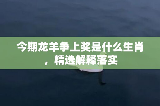 今期龙羊争上奖是什么生肖，精选解释落实