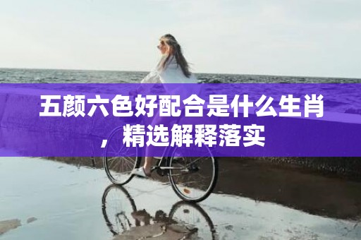 五颜六色好配合是什么生肖，精选解释落实