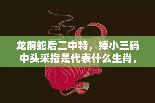 龙前蛇后二中特，捧小三码中头采指是代表什么生肖，精选词语落实