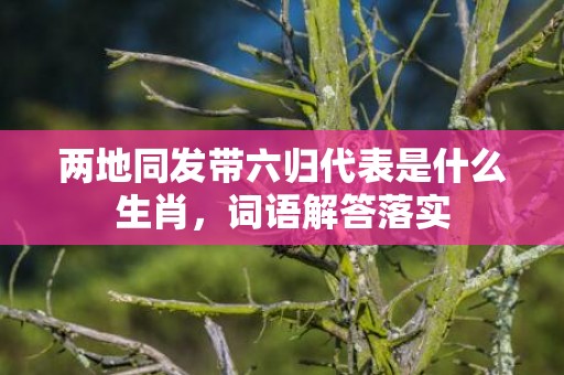 两地同发带六归代表是什么生肖，词语解答落实