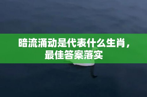 暗流涌动是代表什么生肖，最佳答案落实