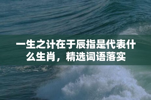 一生之计在于辰指是代表什么生肖，精选词语落实