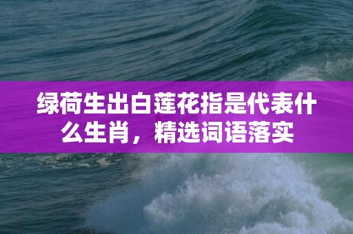 绿荷生出白莲花指是代表什么生肖，精选词语落实