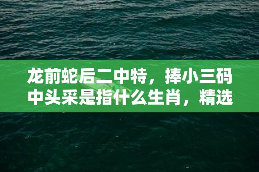 龙前蛇后二中特，捧小三码中头采是指什么生肖，精选答案落实