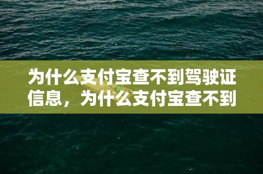 为什么支付宝查不到驾驶证信息，为什么支付宝查不到结婚证信息，支付宝在哪查已婚未婚