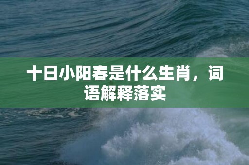 十日小阳春是什么生肖，词语解释落实