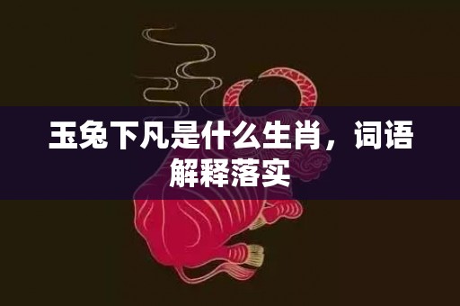 玉兔下凡是什么生肖，词语解释落实