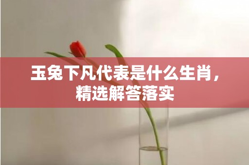 玉兔下凡代表是什么生肖，精选解答落实