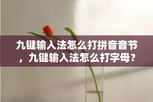 九键输入法怎么打拼音音节，九键输入法怎么打字母？手机打字九宫格怎么设置