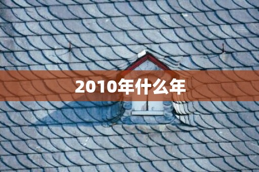 2010年什么年