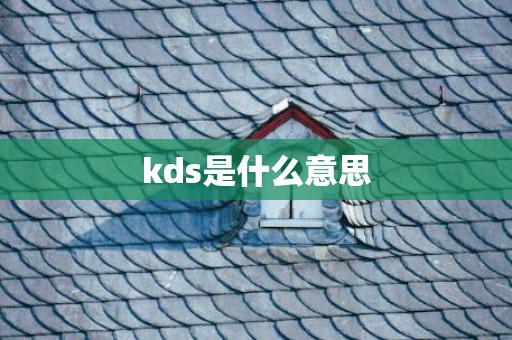 kds是什么意思