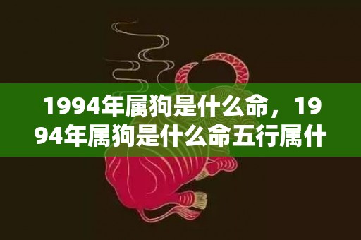 1994年属狗是什么命，1994年属狗是什么命五行属什么，1994年属狗的最佳配偶