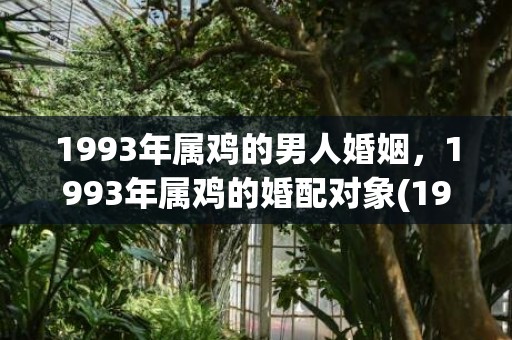 1993年属鸡的男人婚姻，1993年属鸡的婚配对象(1996年鼠的最佳婚配属相)