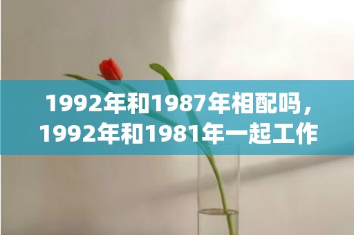 1992年和1987年相配吗，1992年和1981年一起工作(1992年属猴是什么命)