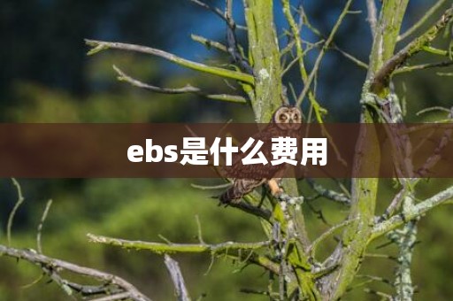 ebs是什么费用